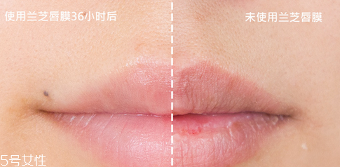 蘭芝唇膜小孩能用嗎？蘭芝唇膜正確使用方法