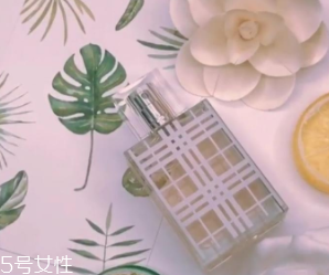 女士香水什么味道好？這6款香水親切又高級