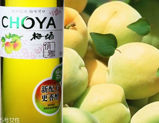 choya梅酒多少錢？多少度？