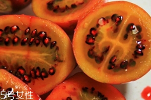 樹番茄多少錢一斤？