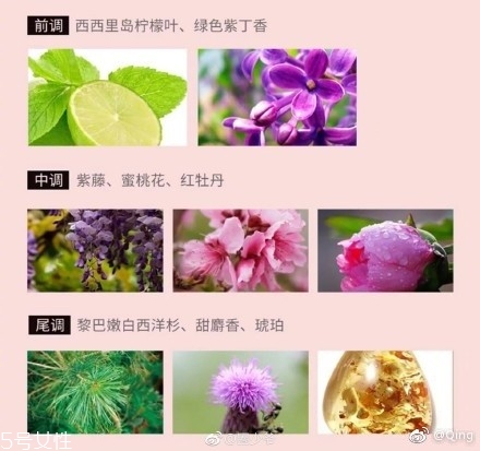 瀘州老窖香水多少錢？你身上有他的白酒味
