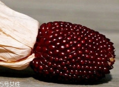 草莓玉米多少錢一斤？酷似草莓的玉米