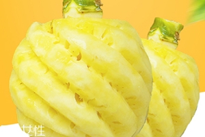 泰國迷你小菠蘿多少錢一斤？mini小菠蘿火遍泰國