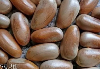榴蓮蜜怎么吃？不同的吃法風(fēng)格
