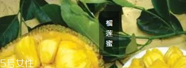 榴蓮蜜哪里能吃？哪里不能吃