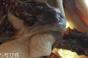 板鴨怎么做好吃？這樣做香氣撲鼻