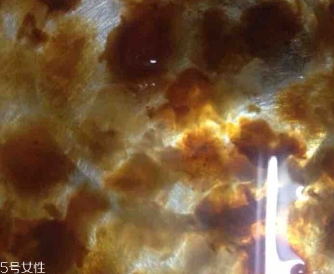 雪燕和桃膠能一起燉嗎？