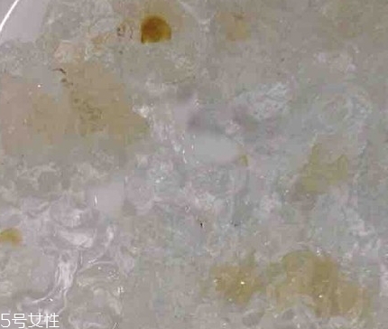 雪燕和桃膠能一起燉嗎？
