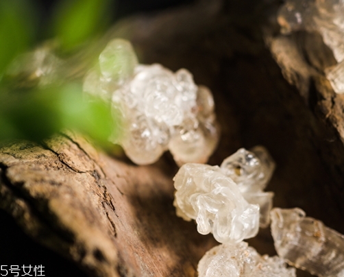 雪燕和銀耳哪個好？其實可以一起食用