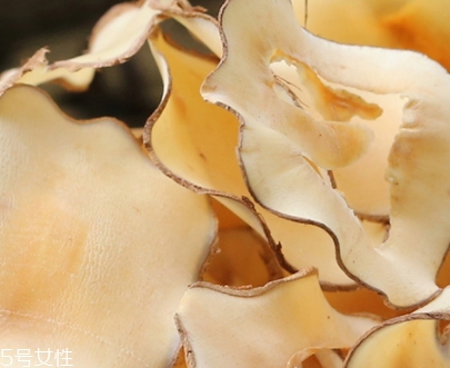 海底椰怎么吃？海底椰的做法
