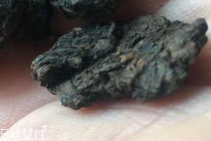 老茶頭怎么泡？泡錯了就不好喝了