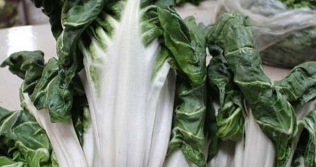 牛皮菜是發(fā)物嗎？牛皮菜有毒嗎