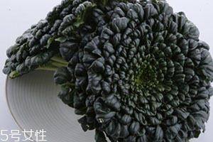 塔菜多少錢(qián)一斤？塔菜又稱(chēng)菊花菜