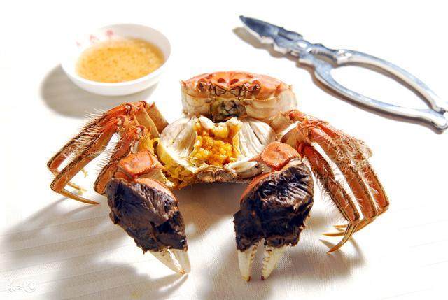 陽(yáng)澄湖大閘蟹怎么吃？食陽(yáng)澄湖大閘蟹注意事項(xiàng)
