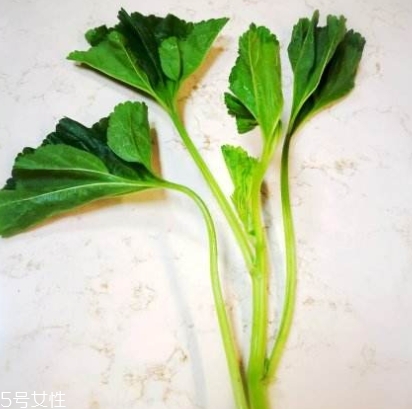 冬寒菜多少錢(qián)一斤？