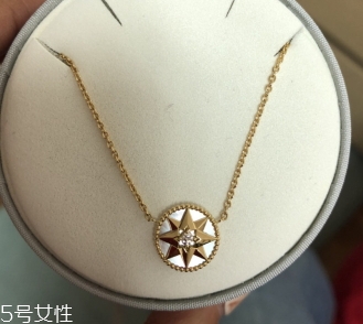 dior迪奧項(xiàng)鏈?zhǔn)鞘裁床馁|(zhì)？