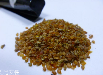 黑苦蕎茶苦嗎？苦蕎有苦卻不苦
