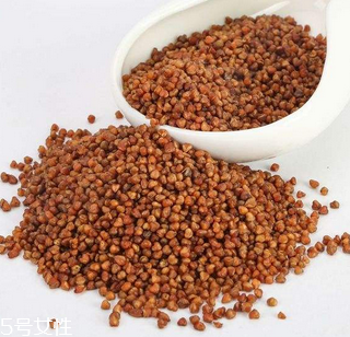 黑苦蕎茶上火嗎？蒸煮法苦蕎茶不上火