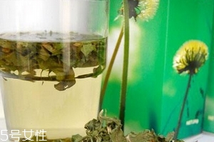 蒲公英茶哪些人不宜喝？這三種人要避開(kāi)