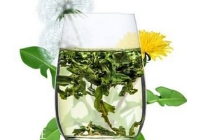 蒲公英茶哪個牌子好？大牌子值得信賴