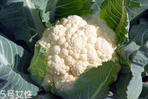 花菜怎么洗才干凈？一定要把蟲(chóng)子洗掉