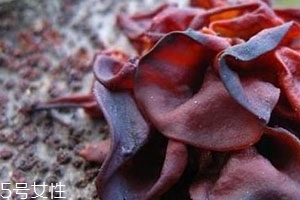 血耳多少錢一斤？來自大山的饋贈(zèng)