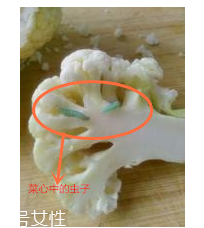 花菜怎么洗才干凈？一定要把蟲子洗掉