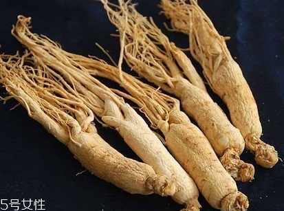 西洋參會過期嗎？答案是肯定的