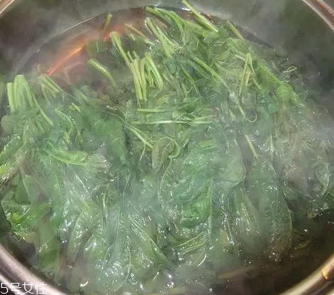 香椿涼拌怎么做好吃？超級(jí)簡(jiǎn)單的3道開(kāi)胃菜