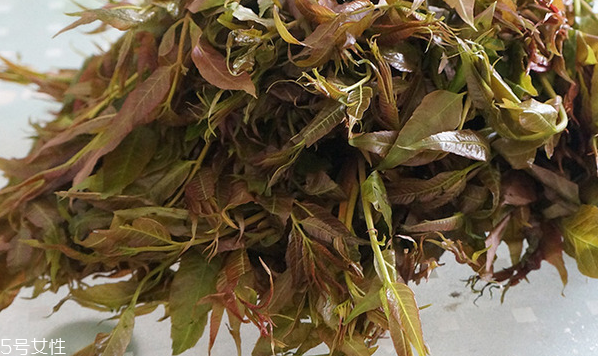 香椿水餃怎么做好吃？超詳細(xì)香椿豆腐餃子做法