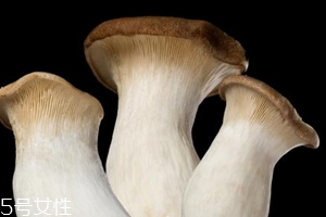 杏鮑菇怎么洗才干凈？鹽水泡泡輕松去污
