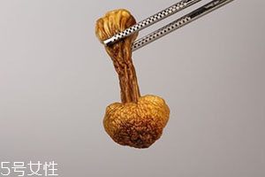 姬松茸多少錢一斤？