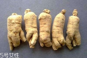 西洋參會回奶嗎？不用擔心這個問題