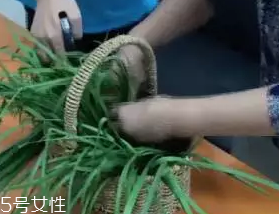 韭菜怎么保存時(shí)間長？真空保存最持久