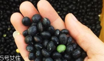 黑豆泡醋能放多久？必須半年內吃完