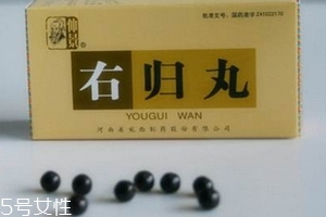右歸丸治什么??？可治多種疾病
