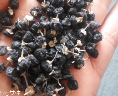 黑枸杞去濕氣嗎？沒有這個(gè)功效