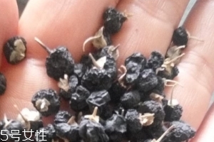 黑枸杞為什么是藍色？花青素的原因