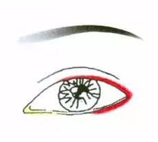 先畫眼影還是先畫眼線？先畫眼影不會讓眼線暈掉