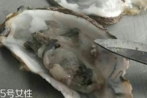 生蠔會(huì)上火嗎？烤生蠔易上火