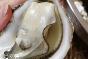 生蠔會(huì)有珍珠嗎？有這個(gè)可能