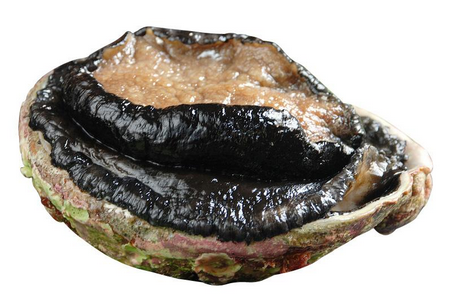 鮑魚罐頭怎么吃？這樣吃最好
