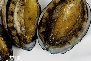 鮑魚罐頭好吃嗎？味道還可以