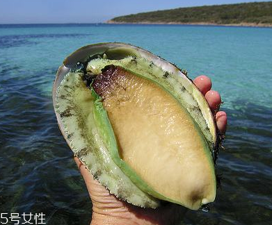 鮑魚罐頭好吃嗎？味道還可以