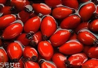 痘痘能用玫瑰果油嗎？愈合之后少量用