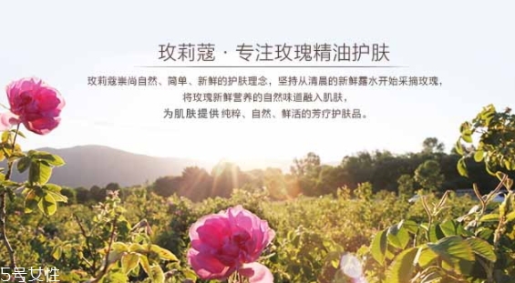 玫莉蔻護膚品怎么樣？主打玫瑰的護膚品牌