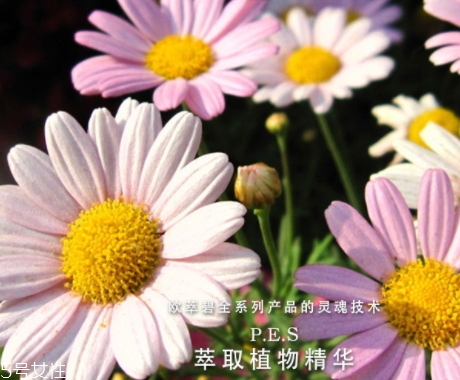歐萃碧護膚品怎么樣？法國藥妝品牌