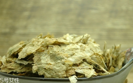 啤酒花是什么？啤酒花功效與作用