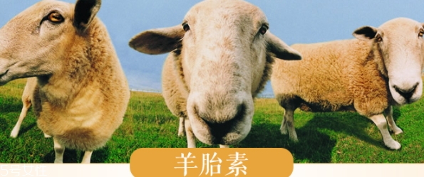 羊胎素和玻尿酸哪個好？
