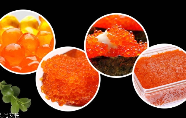 飛魚籽是什么魚的籽？壽司美味的秘訣